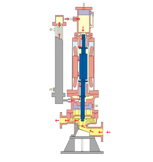安装泵时对管道的基本要求以及怎样判断运行中泵的进出口大小
